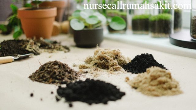 Bahaya Bahan Kimia dalam Produk Herbal: Risiko Ginjal & Jantung